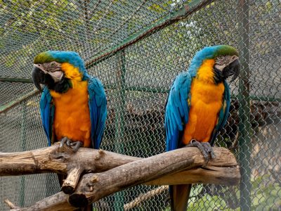 nikola-johnny-mirkovic-5GzlumDswnM-unsplash